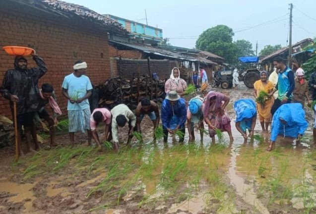 CG News: 16 लाख की सड़क अधूरी… ग्रामीणों ने सड़क पर की धान की रोपाई