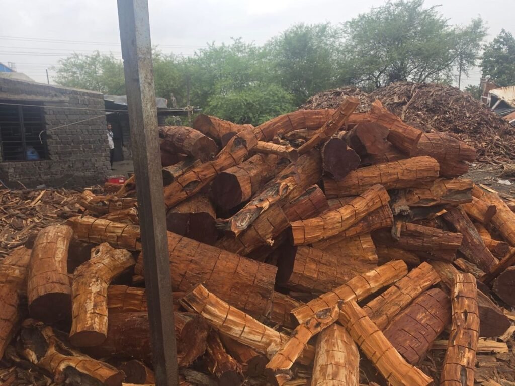 Forest Department: वन विभाग की बड़ी कार्रवाई… रायपुर में 2 ट्रक से ज्यादा खैर लकड़ी जब्त