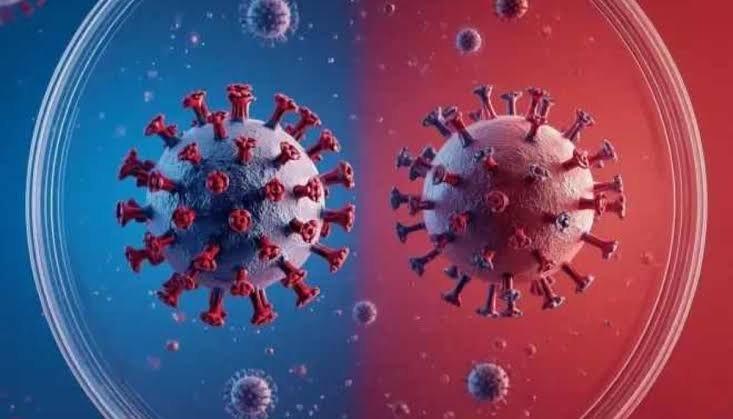 Covid Cases: आंध्र प्रदेश में कोविड-19 से 46 वर्षीय व्यक्ति की मौत… स्वास्थ्य विभाग अलर्ट