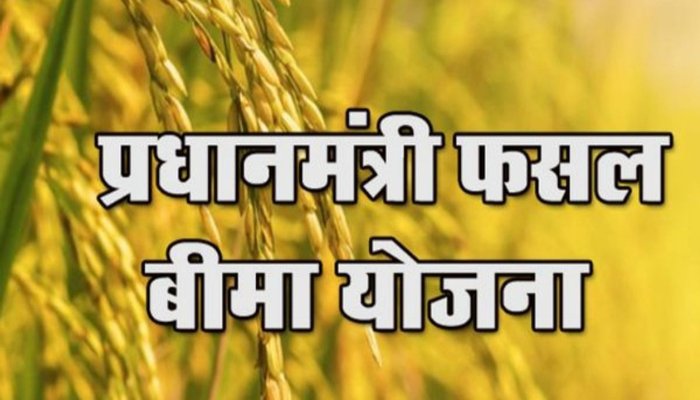 CG News: 31 जुलाई तक कराएं फसल बीमा… धान समेत 10 खरीफ फसलें शामिल