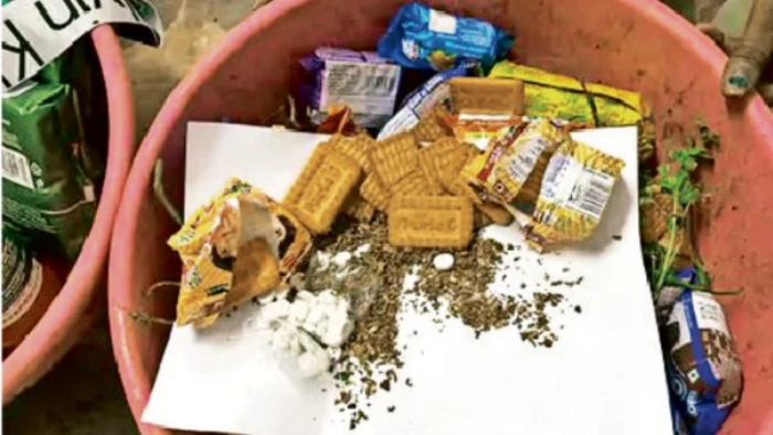 Raipur Central Jail: रायपुर सेंट्रल जेल में प्याज, साबुन और बिस्किट में छिपाकर पहुंच रहा था गांजा