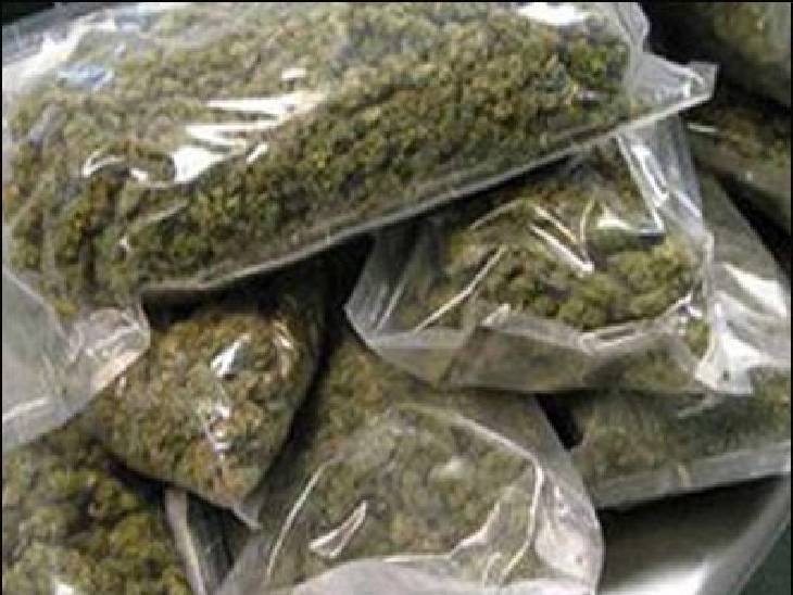 CG Ganja Smuggling: नाबालिग गांजा तस्करी करते पकड़ा गया… 2.89 लाख का गांजा जब्त