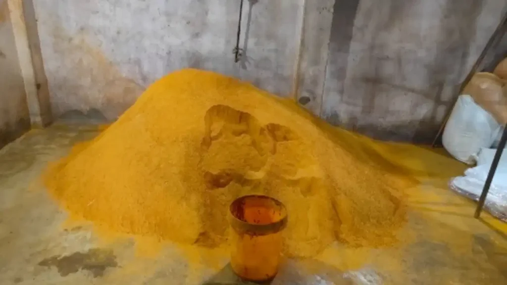 Fake Haldi: बिना हल्दी के बन रहा था ‘हल्दी पाउडर’… फैक्ट्री पर छापे में बड़ा खुलासा