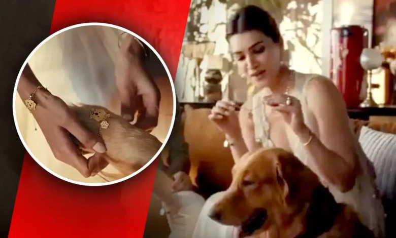 Kriti Sanon: कृति सेनन के राखी विज्ञापन पर विवाद… कुत्ते को राखी बांधने पर उठे सवाल