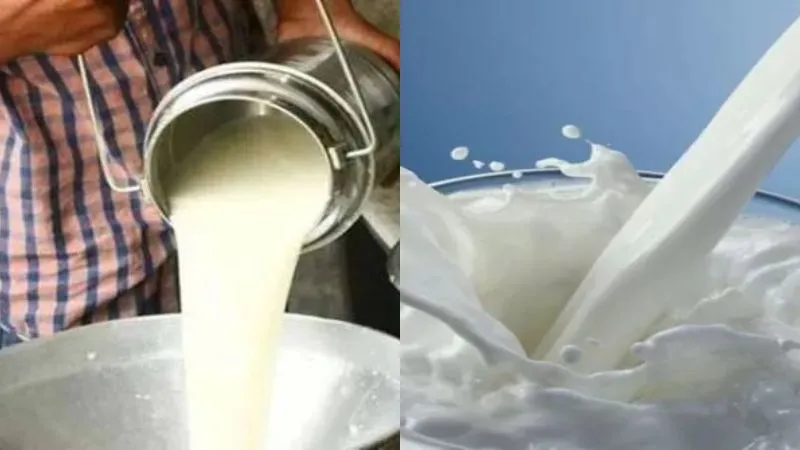 Milk Price Hike: महाराष्ट्र में दूध हुआ महंगा… 11 अगस्त से बढ़ेंगे दाम