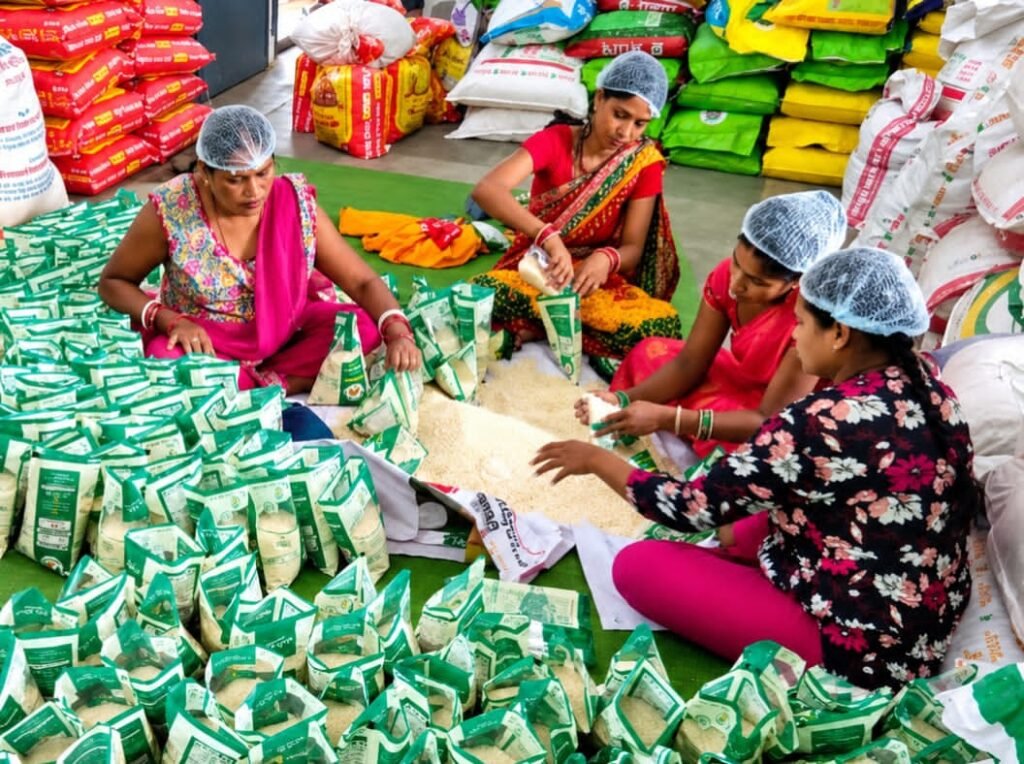 GPM News: विष्णुभोग की खुशबू से चमक रहा गौरेला-पेंड्रा-मरवाही… 1500 किसानों ने संभाली खेती