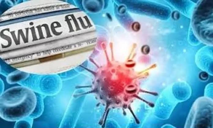 SwineFlu Case: दुर्ग में स्वाइन फ्लू का मामला… 2 साल की बच्ची संक्रमित