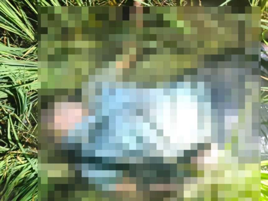 Bee Attack: मधुमक्खियों के हमले से बचने भागा किसान… खेत में पानी में डूबा मिला शव