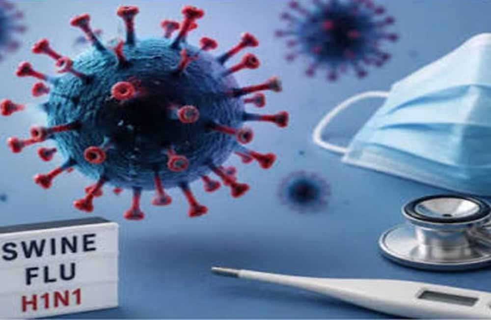 Swine Flu Cases: छत्तीसगढ़ में स्वाइन फ्लू का बढ़ा खतरा… रायपुर में एक दिन में 19 नए केस