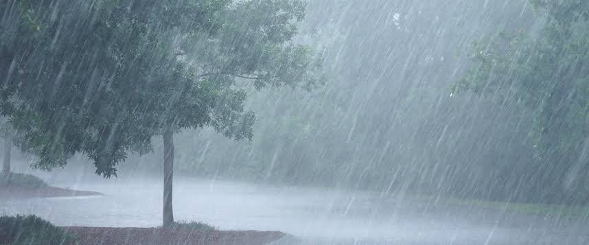 Monsoon Update: मानसून ने पकड़ी रफ्तार… कई राज्यों में भारी बारिश और बाढ़