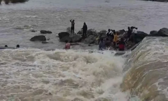 Bilaspur: उफनती अरपा में तेज बहाव के बीच मछली पकड़ते दिखे लोग