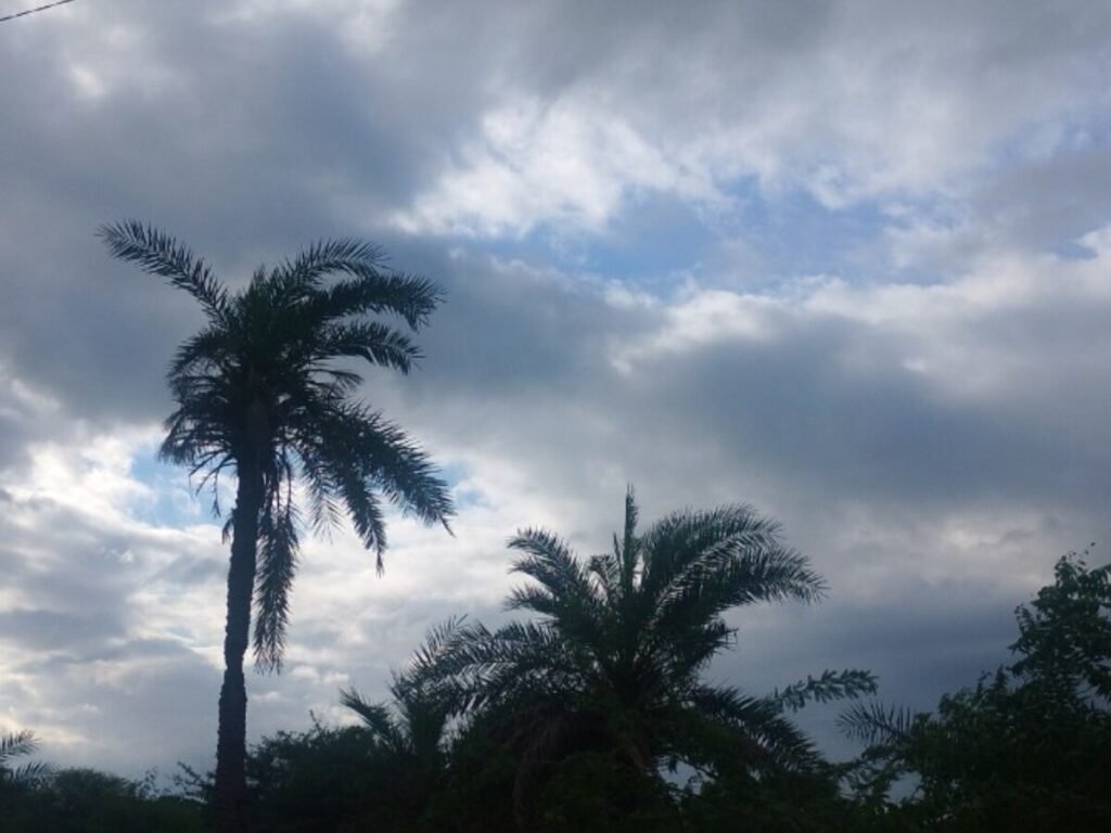 Weather Update: छत्तीसगढ़ में बारिश पर ब्रेक… बढ़ने लगी गर्मी और उमस