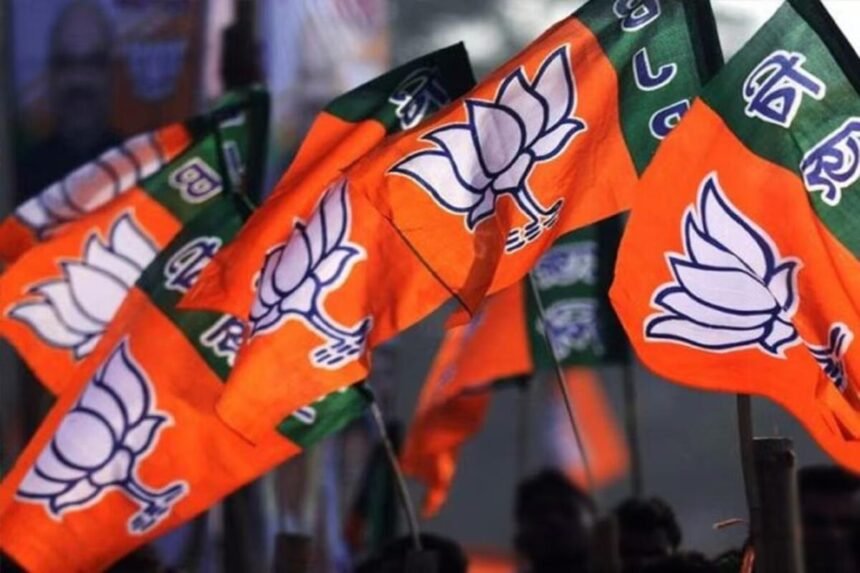 Rajya Sabha Election: राज्यसभा चुनाव के लिए BJP ने यूपी से 8 उम्मीदवारों का किया ऐलान