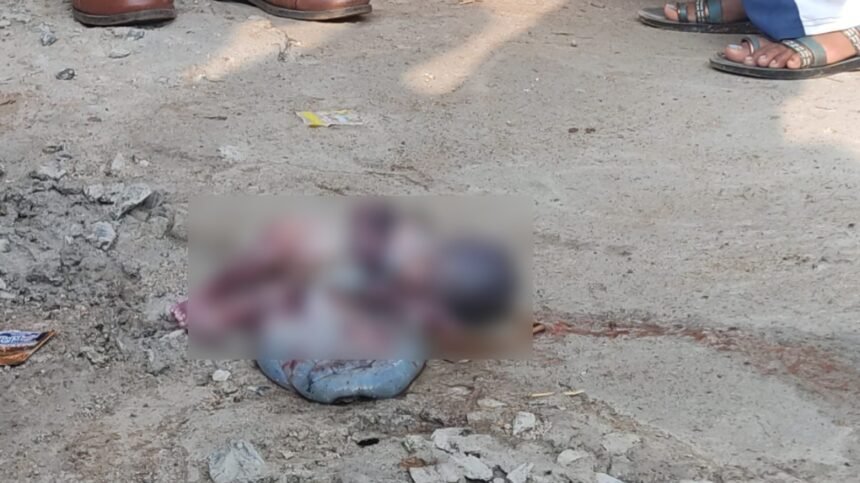 CG Breaking News: गोबरा नवापारा में नाली में मिला 7 माह का भ्रूण… इलाके में मचा हड़कंप