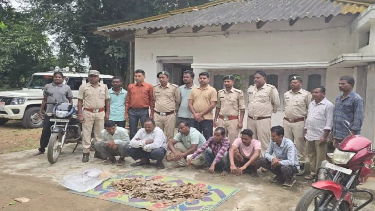 Pangolin Smuggling Busted: पैंगोलिन तस्करी का भंडाफोड़… 14 किलो खाल-शल्क के साथ 6 आरोपी गिरफ्तार