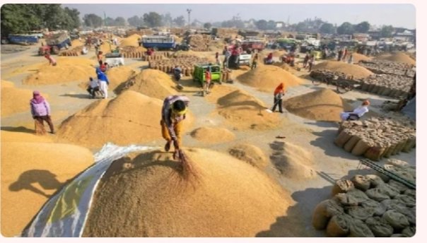 CG Dhan Kharidi: छत्तीसगढ़ में 15 नवंबर से होगी धान खरीदी… ‘तुंहर टोकन’ एप से घर बैठे मिलेगा टोकन