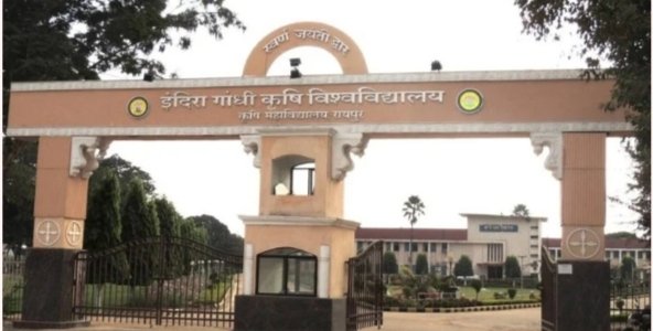IGKV Education News:  BSc कृषि में एडमिशन का मौका… ऑनलाइन पंजीयन की अंतिम तिथि 12 अक्टूबर