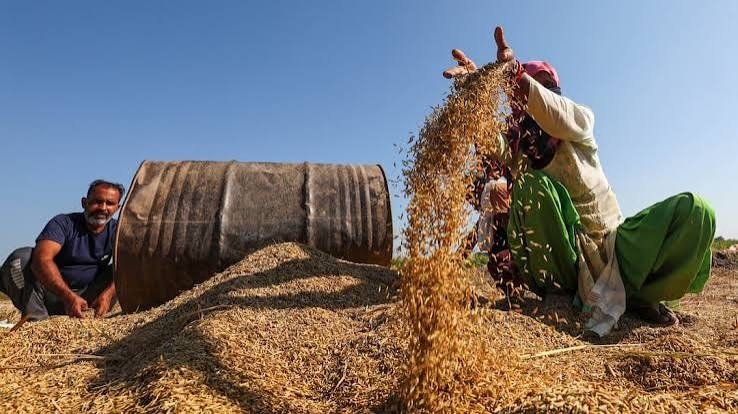Farmers News: धान का दाम 3,358 रुपये प्रति क्विंटल करने की मांग… किसान संघ की 27 अक्टूबर को मंत्रालय घेराव की चेतावनी