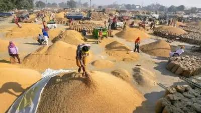 CG Dhan Kharidi: धान खरीदी से पहले सरकार ने बदला नियम… किसानों को बड़ी राहत