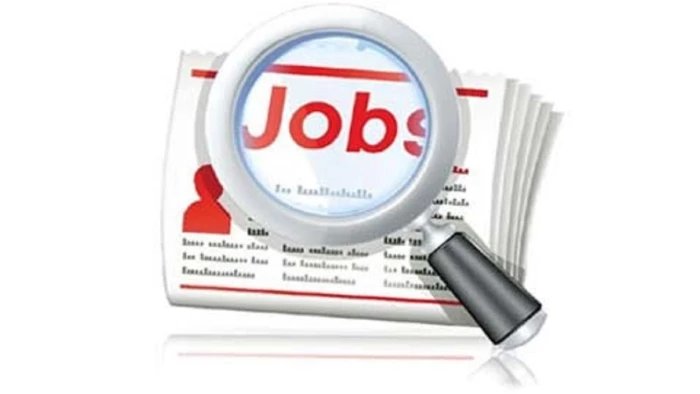 Job Fair: छत्तीसगढ़ में 660 से अधिक पदों पर भर्ती… 13 अक्टूबर को रोजगार मेला