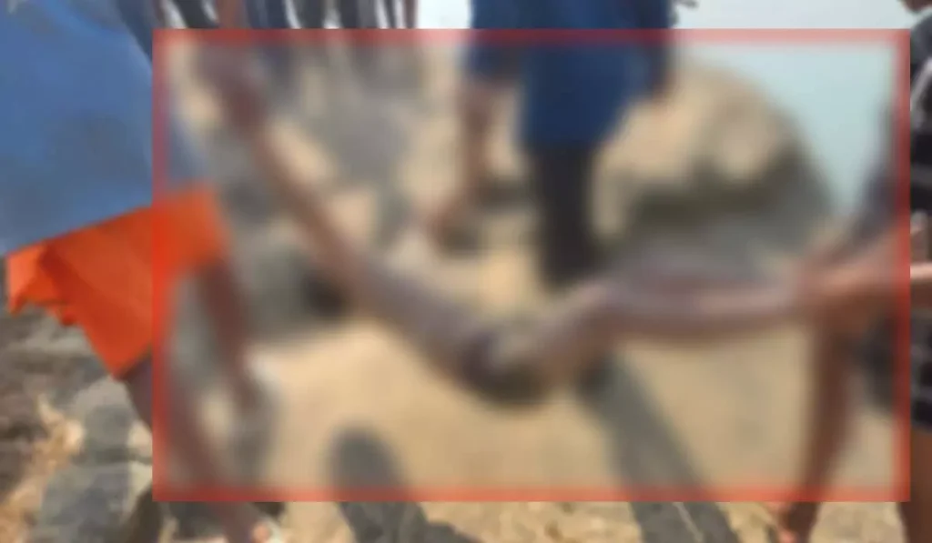 Surajpur Breaking News: रेड नदी में डूबे पांच लोग… दो की मौत